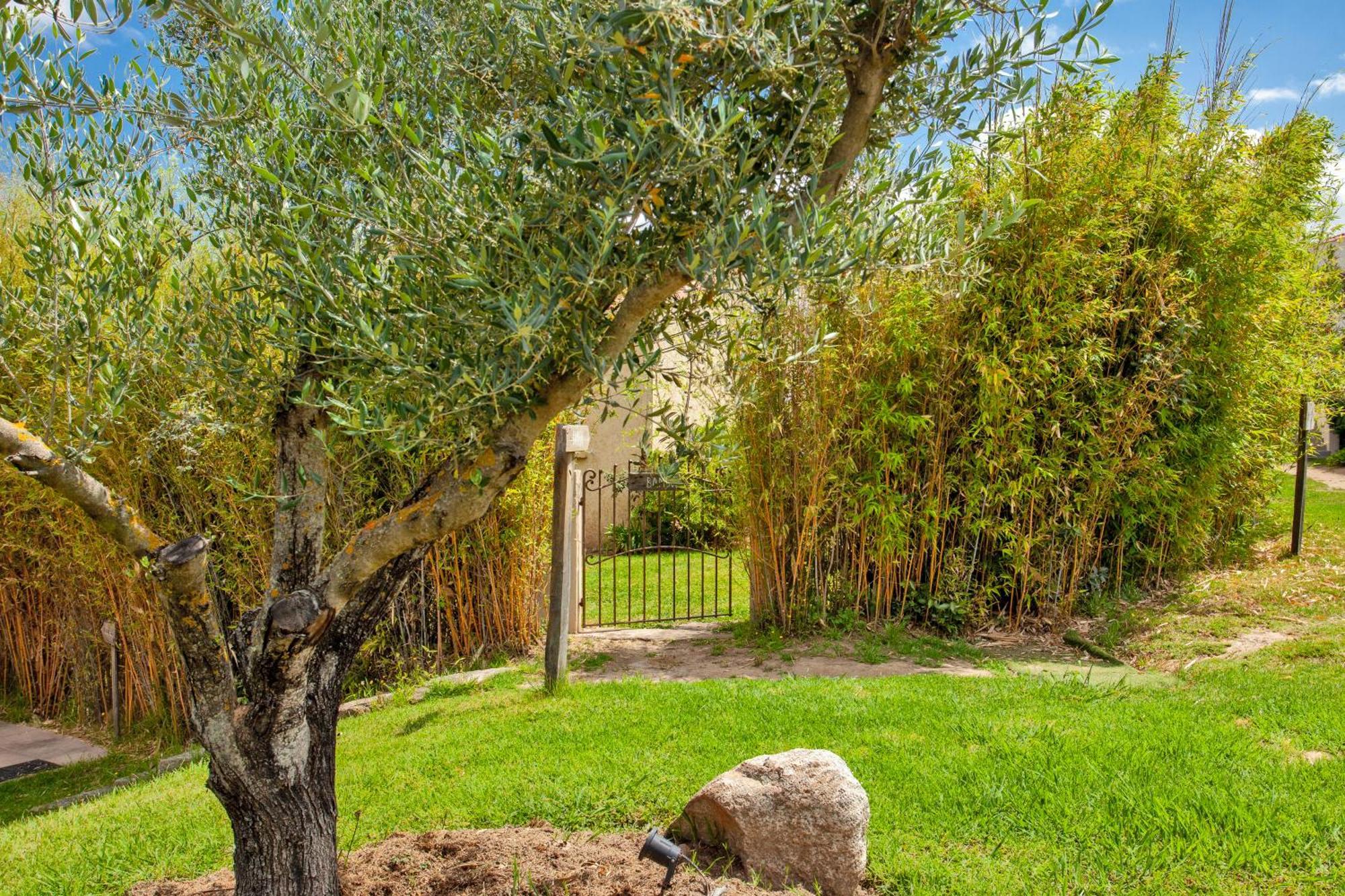 Residence Acquavital Calvi  Exterior photo